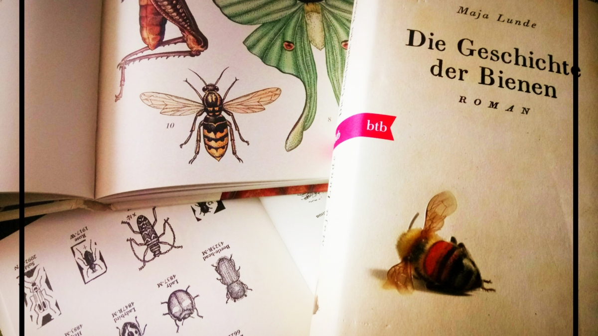Review: Die Geschichte der Bienen